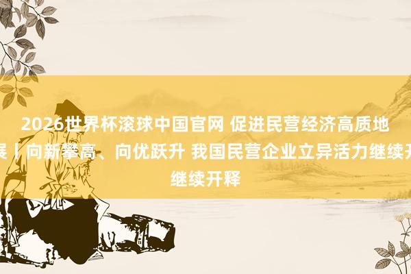 2026世界杯滚球中国官网 促进民营经济高质地发展丨向新攀高、向优跃升 我国民营企业立异活力继续开释