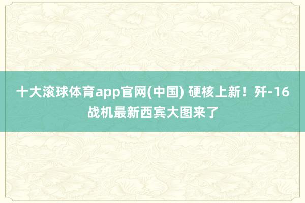 十大滚球体育app官网(中国) 硬核上新!歼-16战机最新西宾大图来了