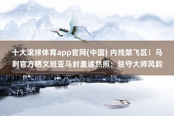 十大滚球体育app官网(中国) 内线禁飞区!马刺官方晒文班亚马封盖遽然照:驻守大师风韵