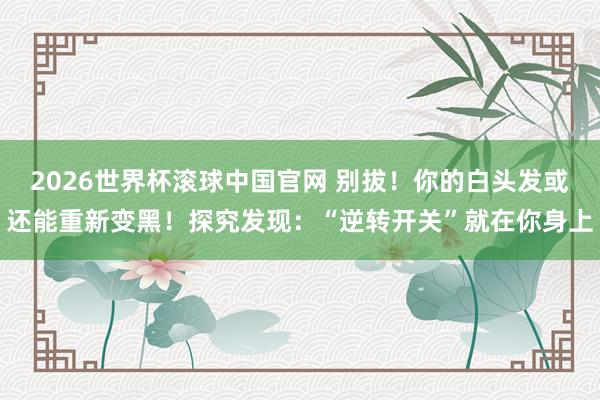 2026世界杯滚球中国官网 别拔!你的白头发或还能重新变黑!探究发现:“逆转开关”就在你身上
