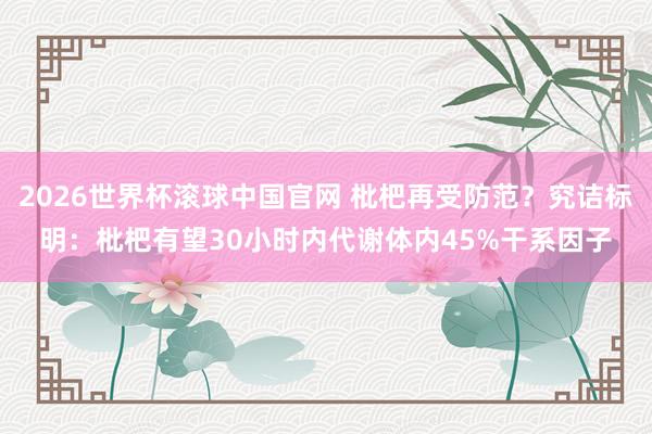 2026世界杯滚球中国官网 枇杷再受防范？究诘标明：枇杷有望30小时内代谢体内45%干系因子