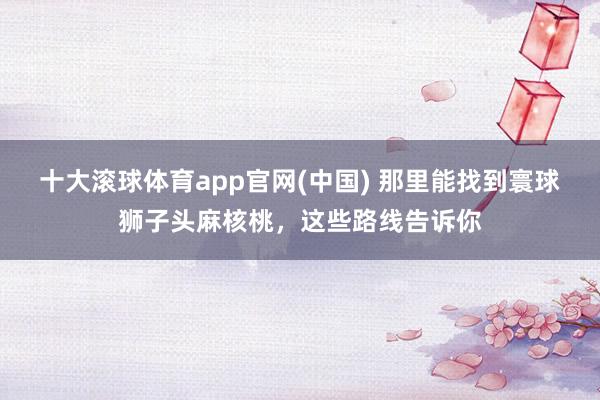 十大滚球体育app官网(中国) 那里能找到寰球狮子头麻核桃,这些路线告诉你