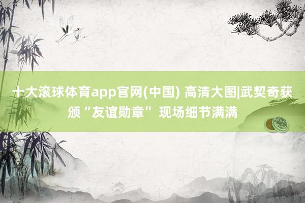 十大滚球体育app官网(中国) 高清大图|武契奇获颁“友谊勋章” 现场细节满满