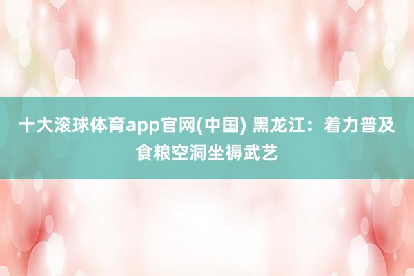 十大滚球体育app官网(中国) 黑龙江：着力普及食粮空洞坐褥武艺