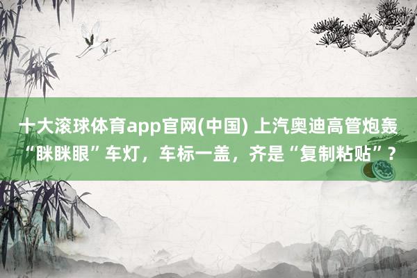 十大滚球体育app官网(中国) 上汽奥迪高管炮轰“眯眯眼”车灯,车标一盖,齐是“复制粘贴”?
