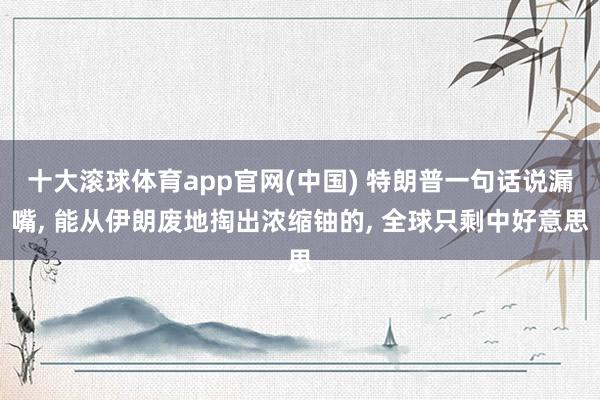 十大滚球体育app官网(中国) 特朗普一句话说漏嘴, 能从伊朗废地掏出浓缩铀的, 全球只剩中好意思