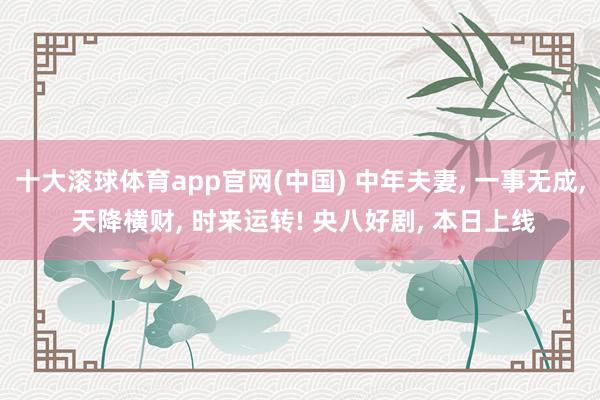 十大滚球体育app官网(中国) 中年夫妻, 一事无成, 天降横财, 时来运转! 央八好剧, 本日上线