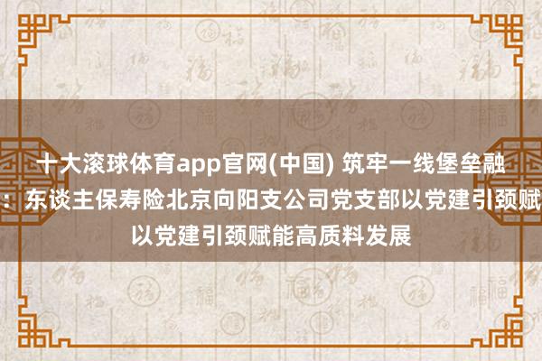 十大滚球体育app官网(中国) 筑牢一线堡垒融业惠民显担当:东谈主保寿险北京向阳支公司党支部以党建引颈赋能高质料发展