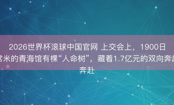 2026世界杯滚球中国官网 上交会上,1900日常米的青海馆有棵“人命树”,藏着1.7亿元的双向奔赴