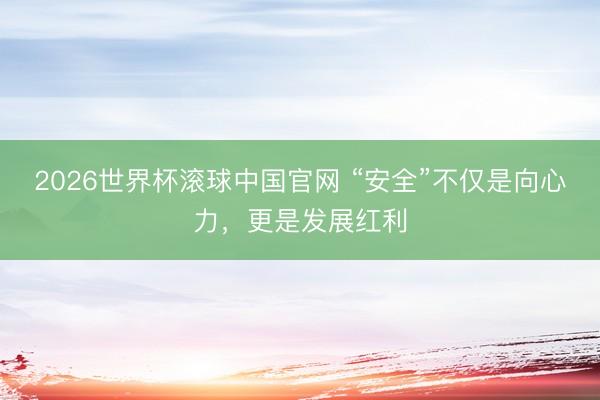 2026世界杯滚球中国官网 “安全”不仅是向心力,更是发展红利