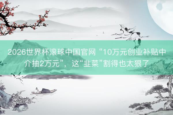 2026世界杯滚球中国官网 “10万元创业补贴中介抽2万元”,这“韭菜”割得也太狠了