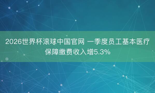 2026世界杯滚球中国官网 一季度员工基本医疗保障缴费收入增5.3%