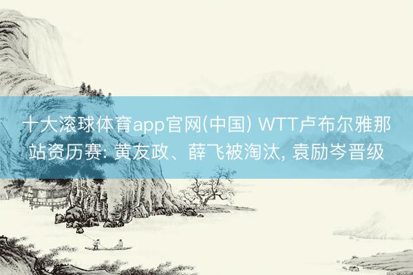 十大滚球体育app官网(中国) WTT卢布尔雅那站资历赛: 黄友政、薛飞被淘汰, 袁励岑晋级