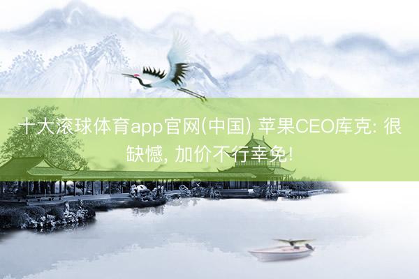 十大滚球体育app官网(中国) 苹果CEO库克: 很缺憾, 加价不行幸免!